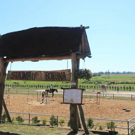 Pod Lasem Blisko Morza *