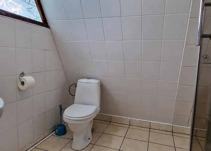 Pod Lasem Blisko Morza